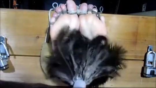 Italian Tickle Toy